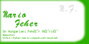 mario feher business card